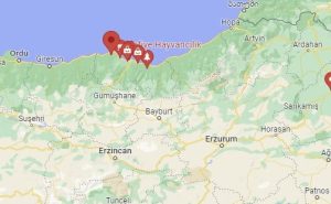 Trabzon Hayvan Pazarı Nasıl Gidilir